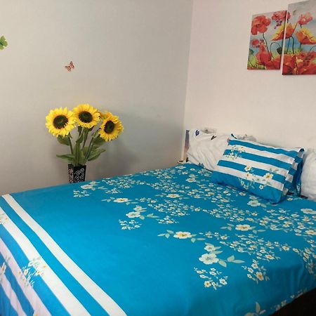 Apartament Cosy Hideaway Braszów Zewnętrze zdjęcie