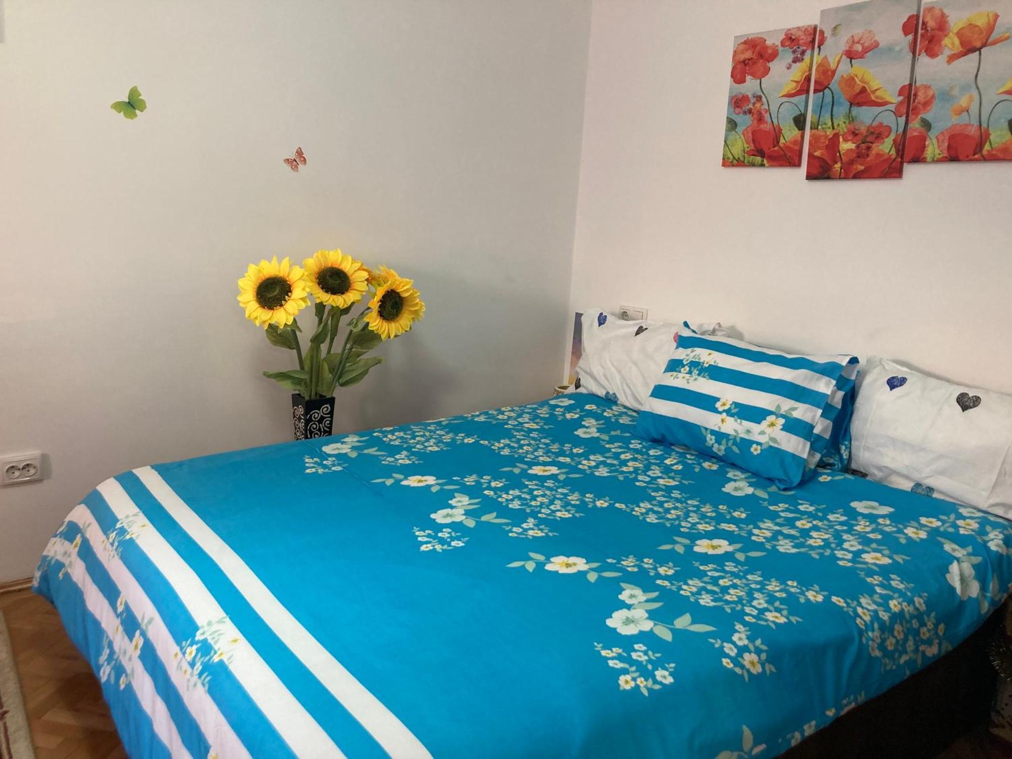 Apartament Cosy Hideaway Braszów Zewnętrze zdjęcie